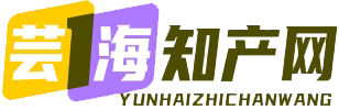 知识产权代理 - 专业知识产权代理机构排名